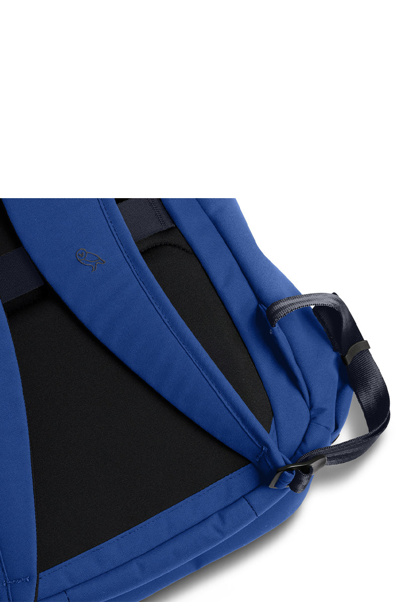 Indigo