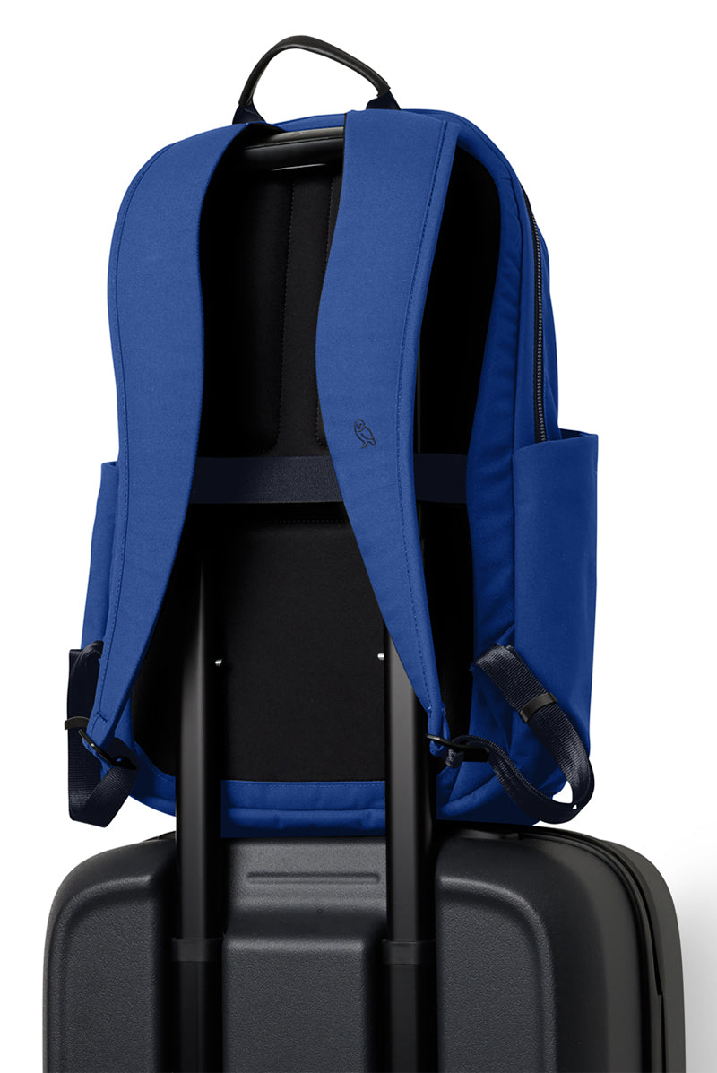 Indigo