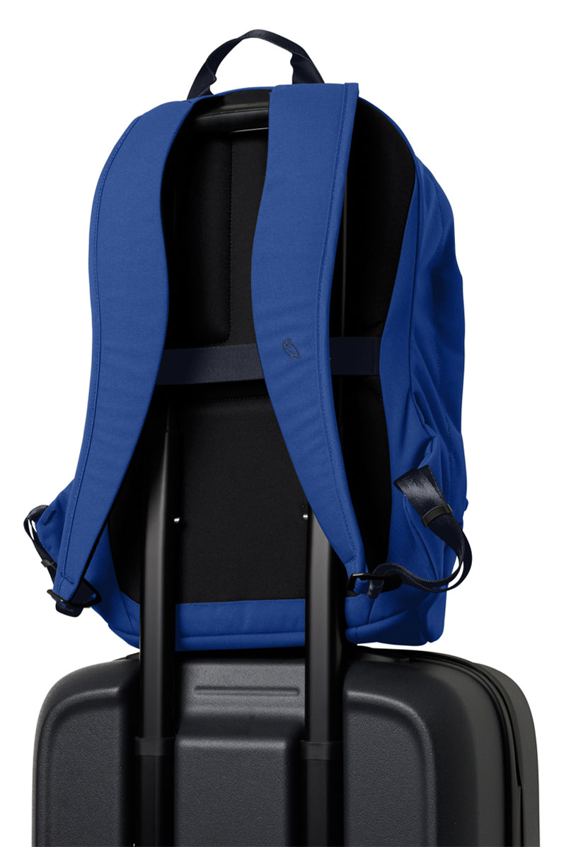 Indigo