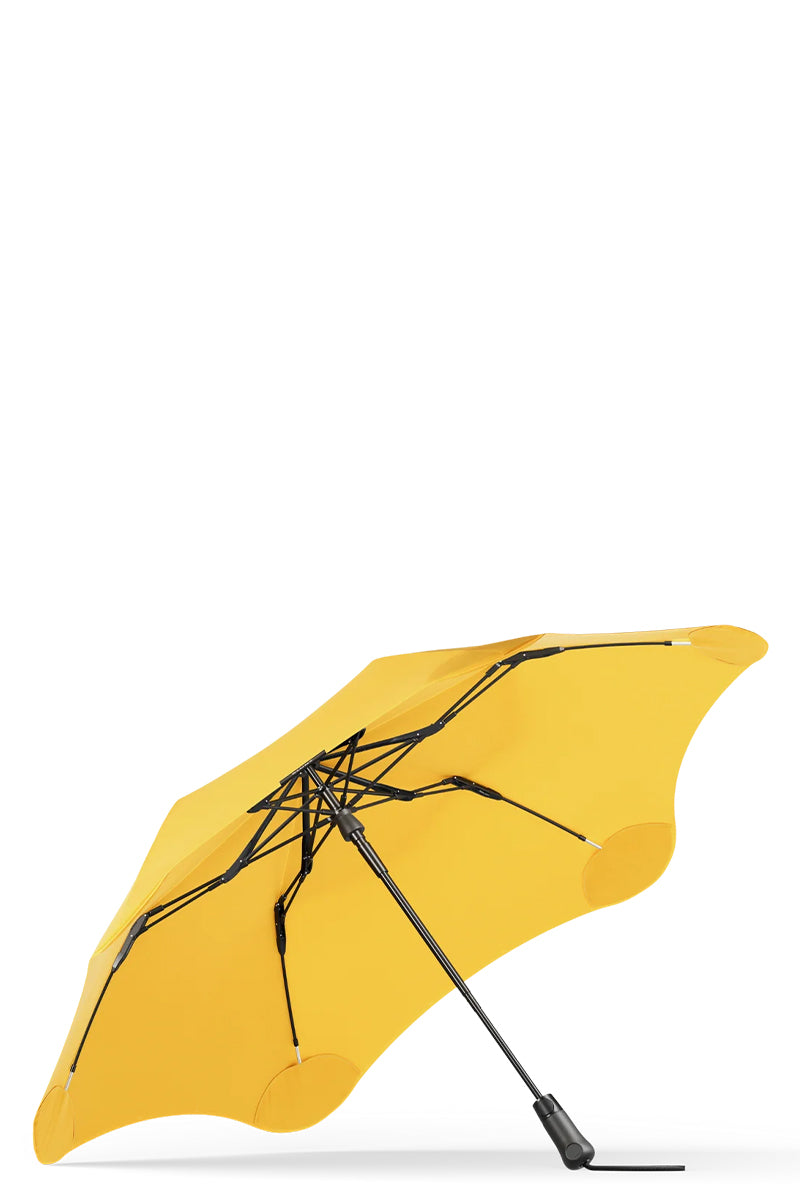 Citrus Yellow