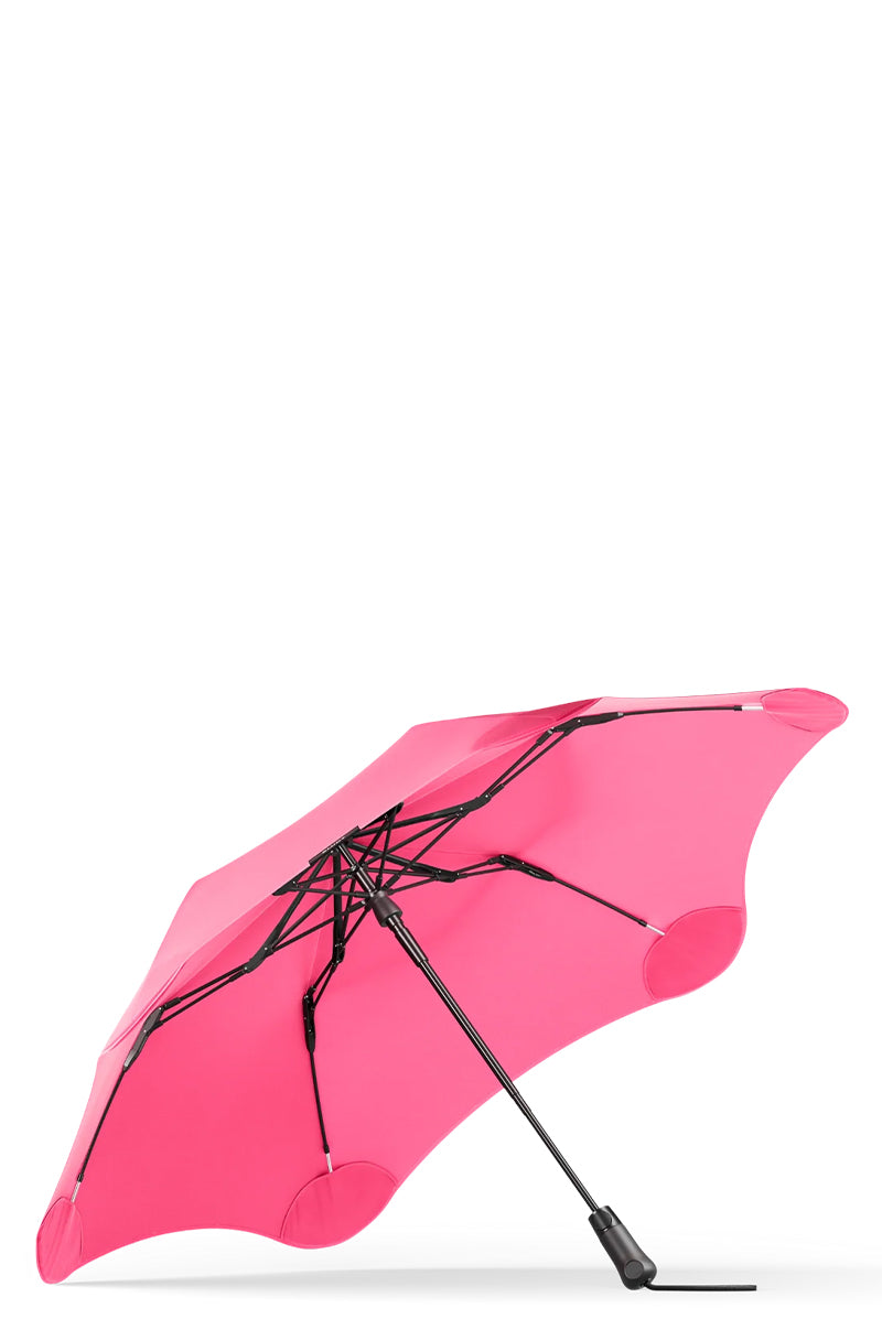 Hibiscus Pink