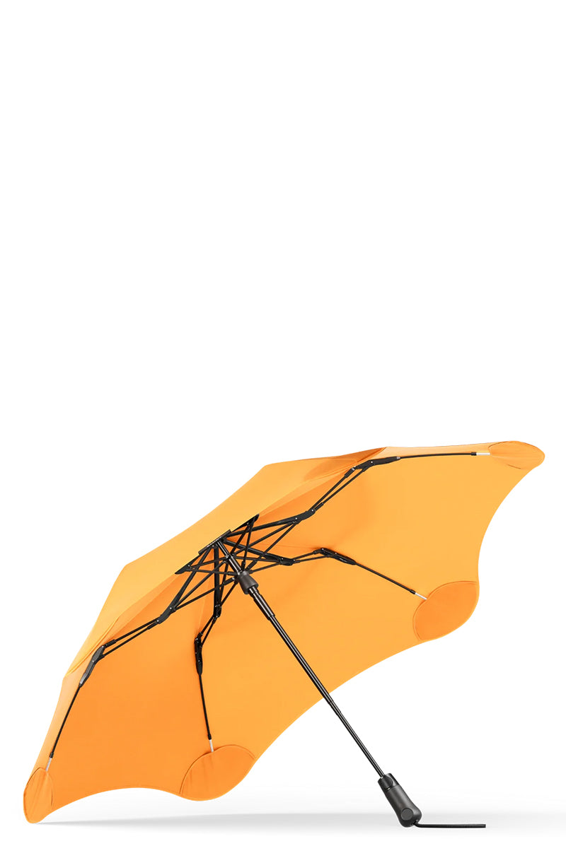 Mango Orange