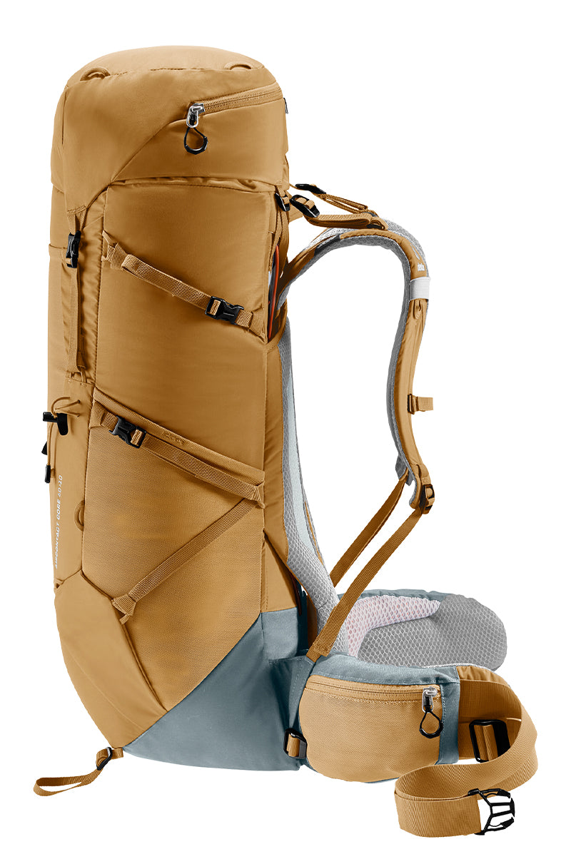 Almond-Teal