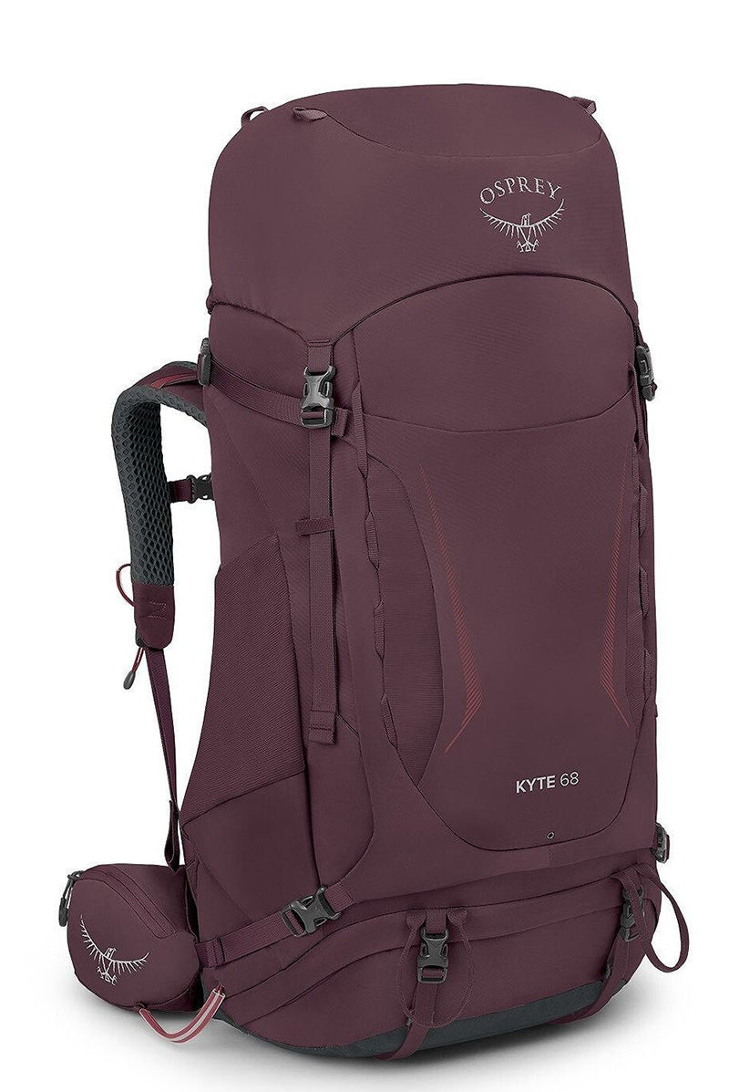 Elderberry Purple