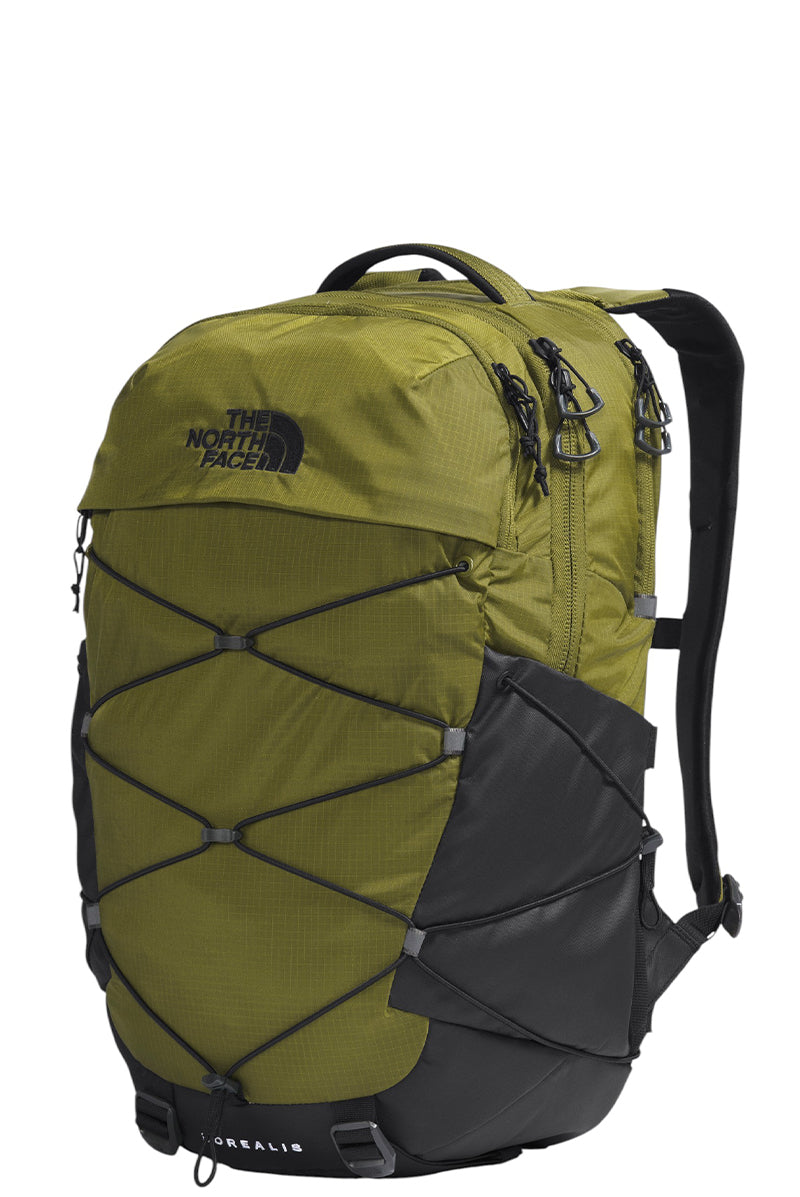 Forest Olive