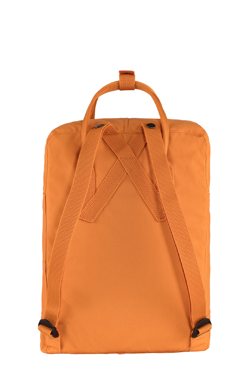 Spicy Orange