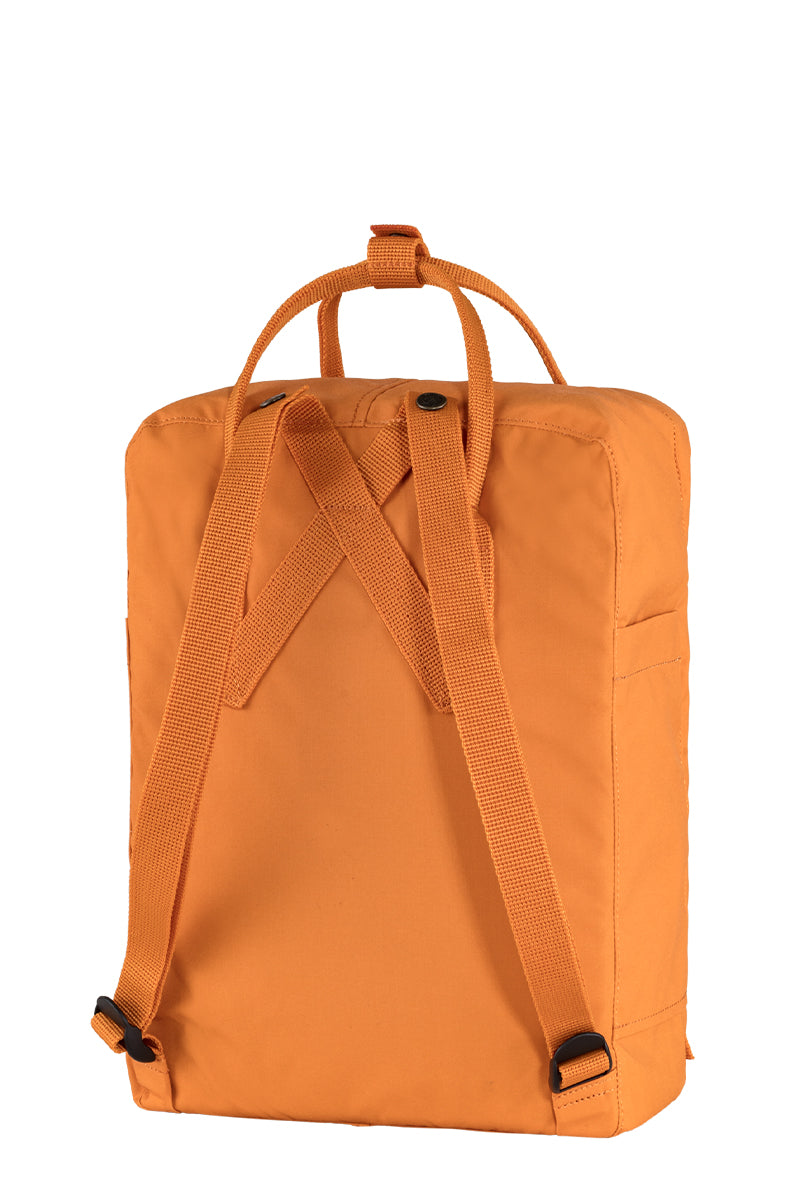 Spicy Orange
