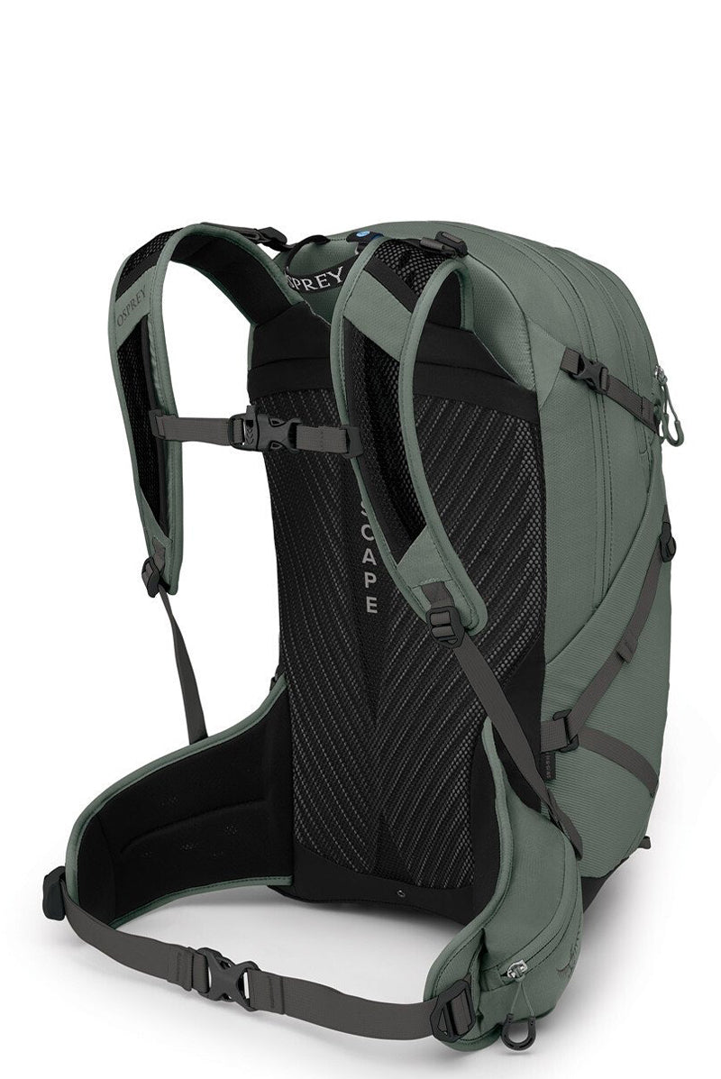 Pine Leaf Green